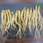 Sâm tươi Hàn Quốc 14 củ 700 gram loại 1