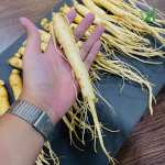 Sâm tươi Hàn Quốc 14 củ 700 gram loại 1